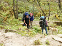 Manufacturers Exporters and Wholesale Suppliers of Himachal Trekking Tour Manali Himachal Pradesh